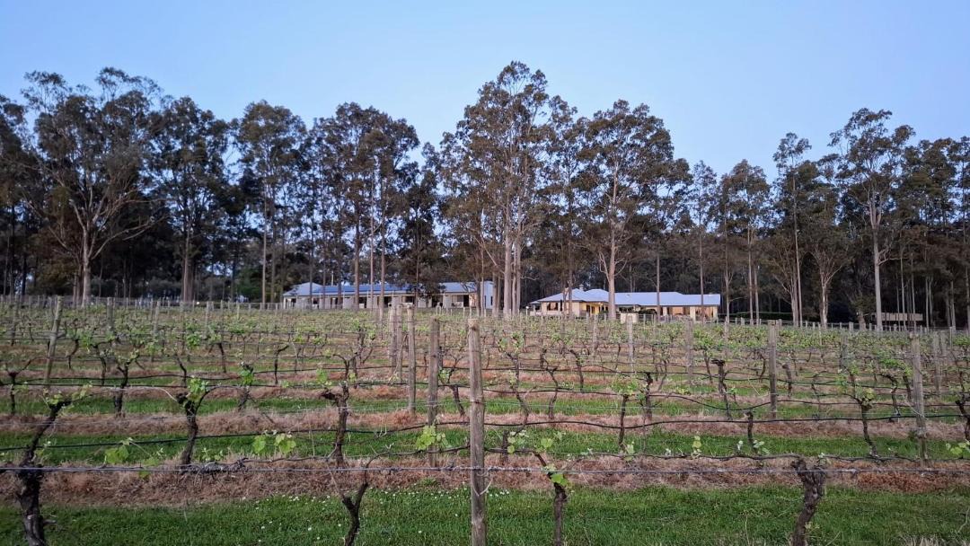 Photo of Others in Pokolbin
