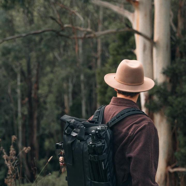 Photo of Others in Yarragon South