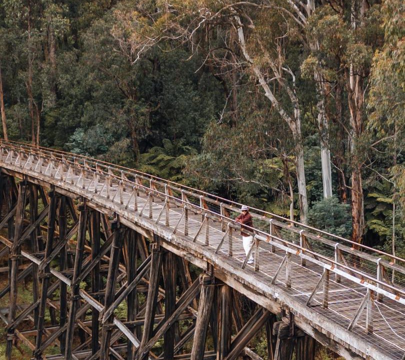 Photo of Others in Yarragon South