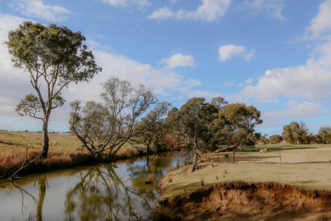 Photo of Others in Boorowa