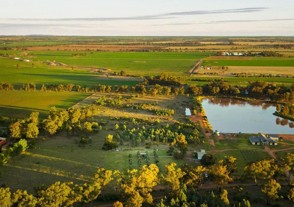 Photo of Others in West Wyalong
