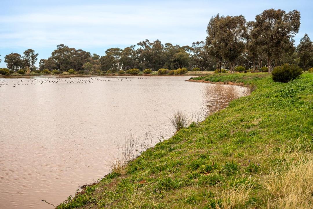 Photo of Others in West Wyalong