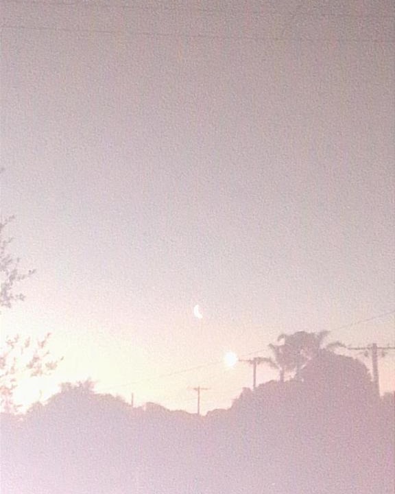 Photo of Others in Toora