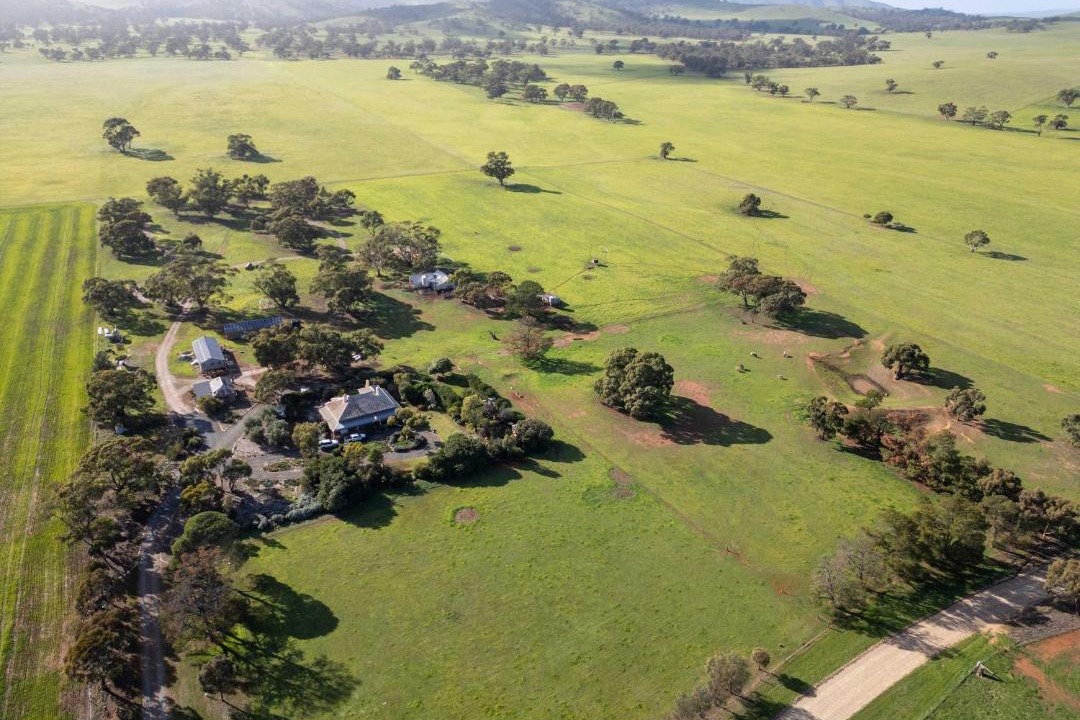 Photo of Others in Hallett