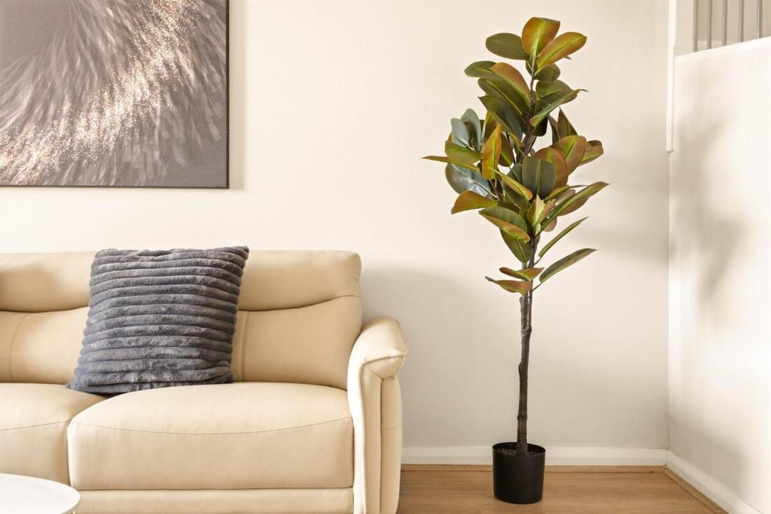 Photo of Livingroom in Box Hill