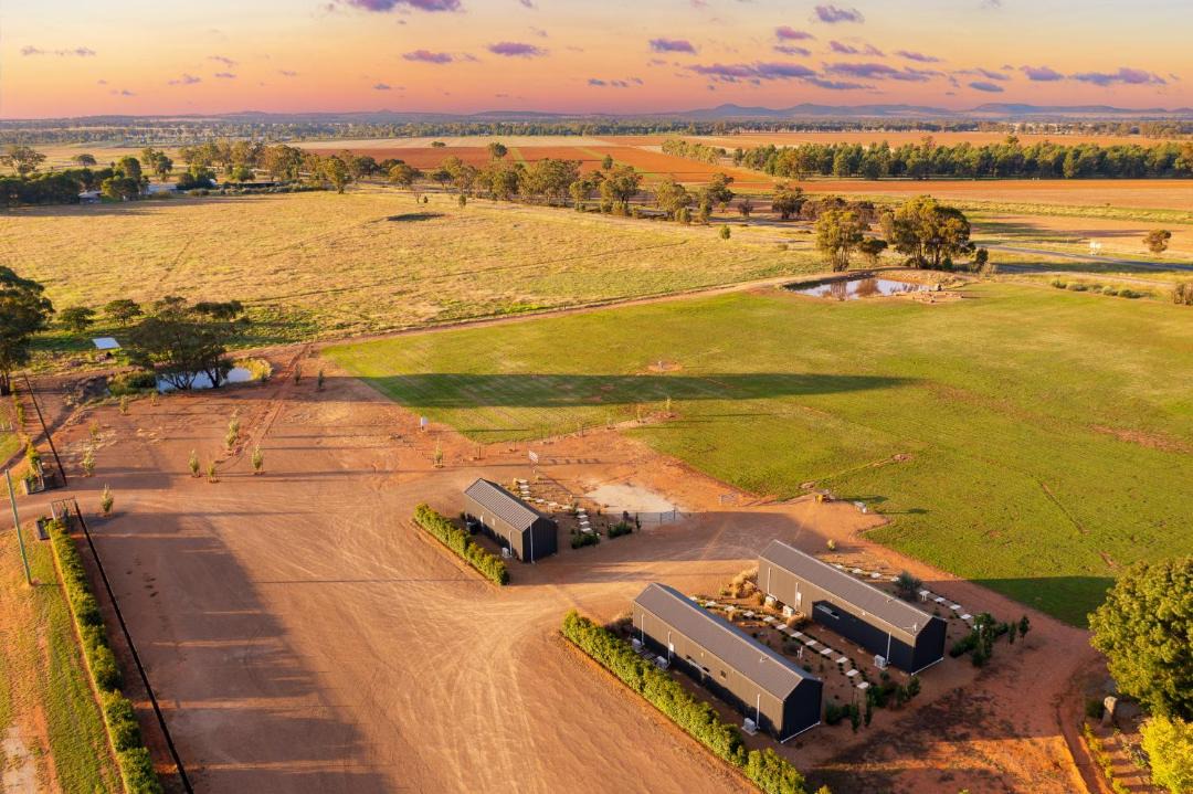 Photo of Others in Temora