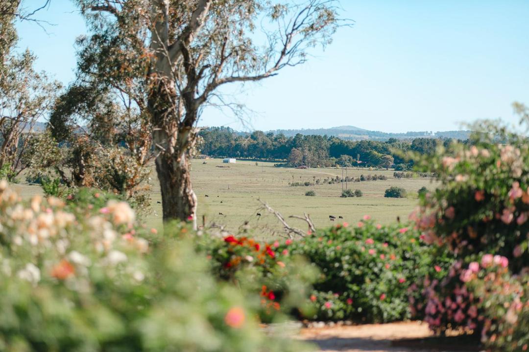 Photo of Others in Armidale