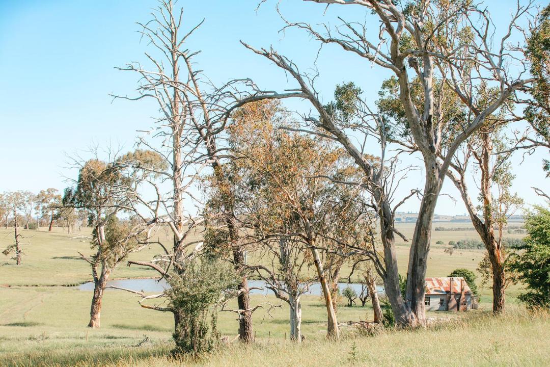 Photo of Others in Armidale