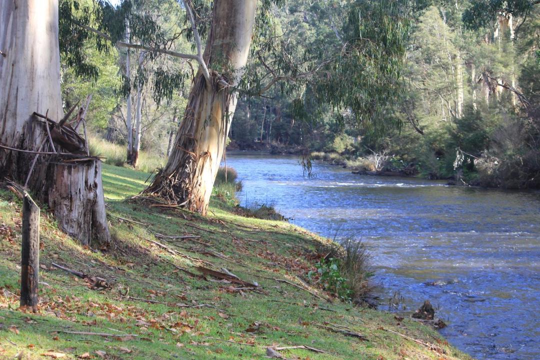 Photo of Others in Warburton