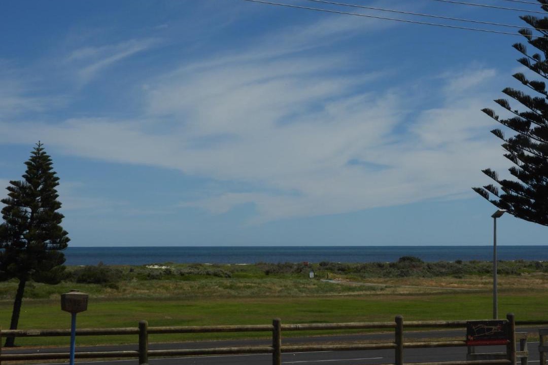 Photo of Others in Lacepede