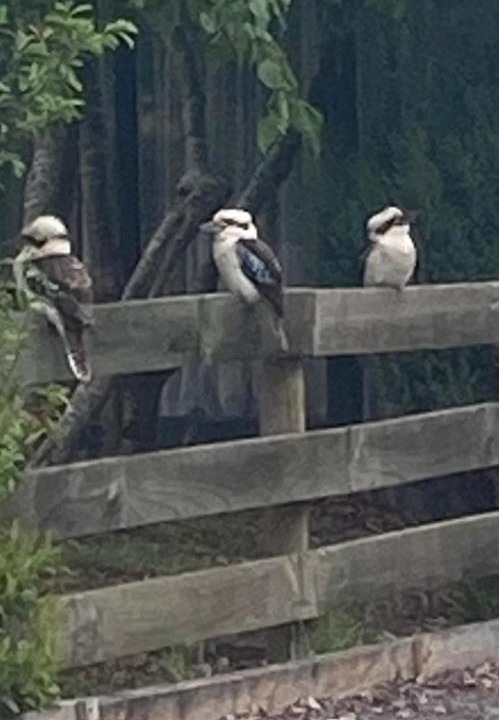 Photo of Others in Trentham