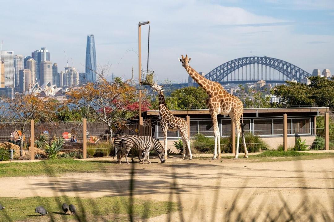 Photo of Others in Ultimo