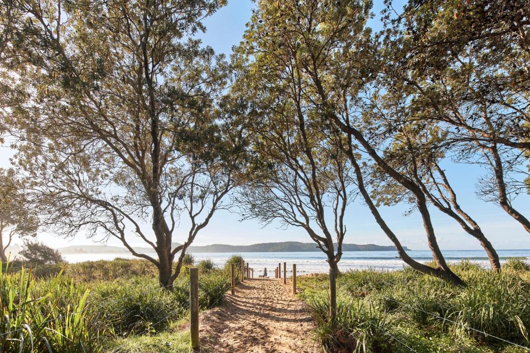 Photo of Others in Umina Beach