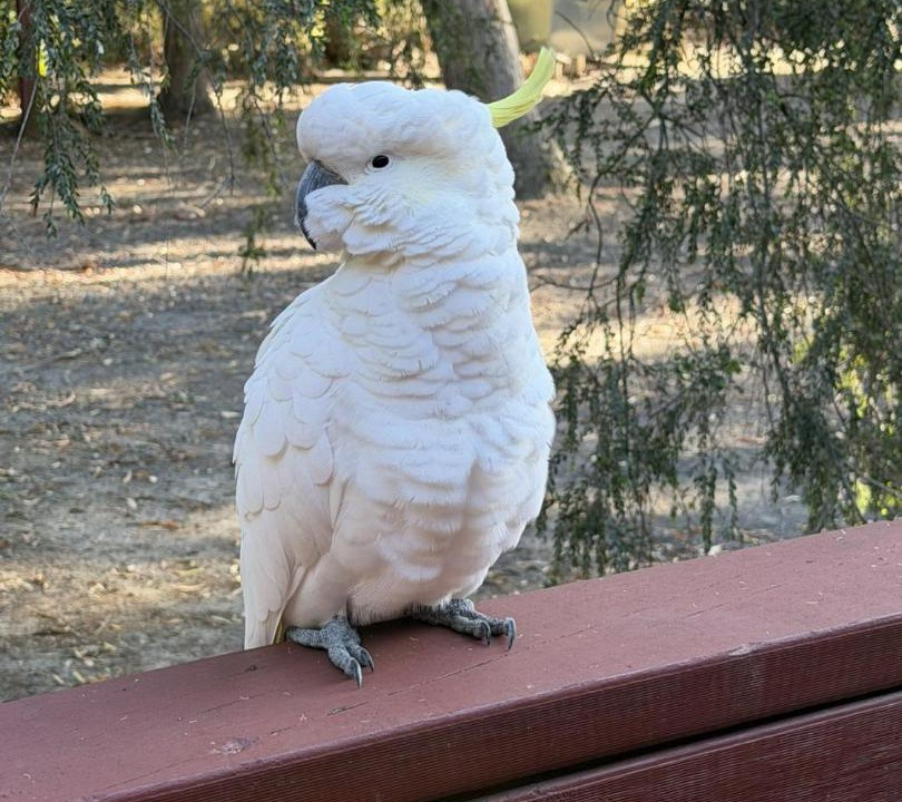 Photo of Others in Halls Gap
