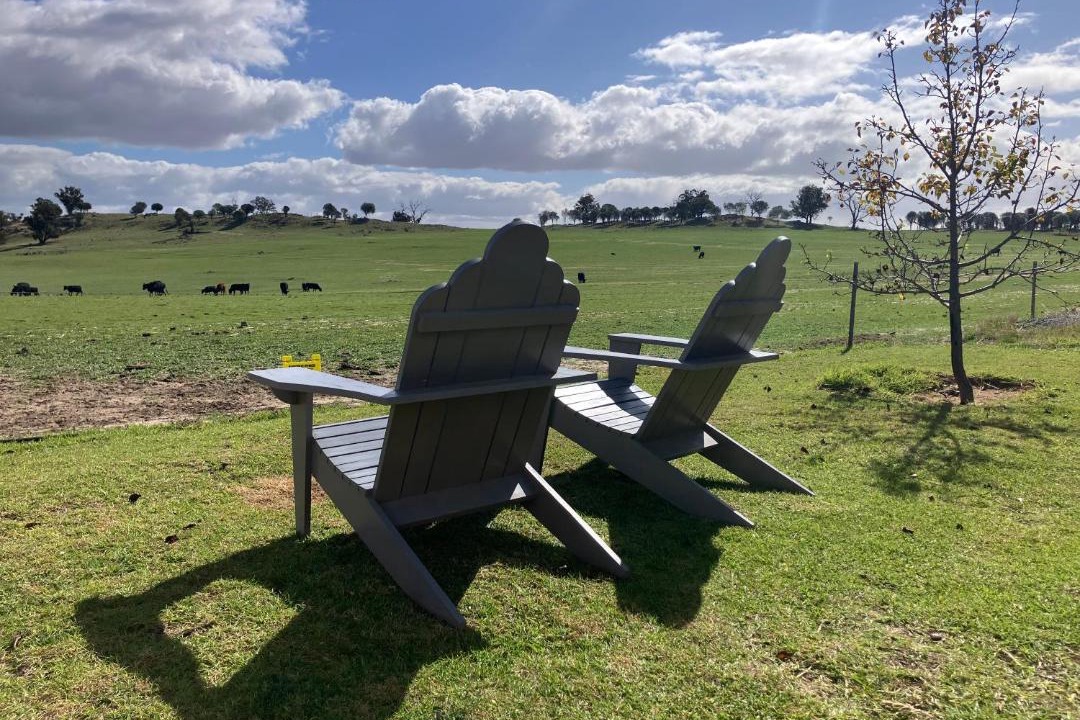 Photo of Others in Williams