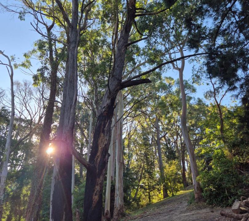 Photo of Others in Adelaide