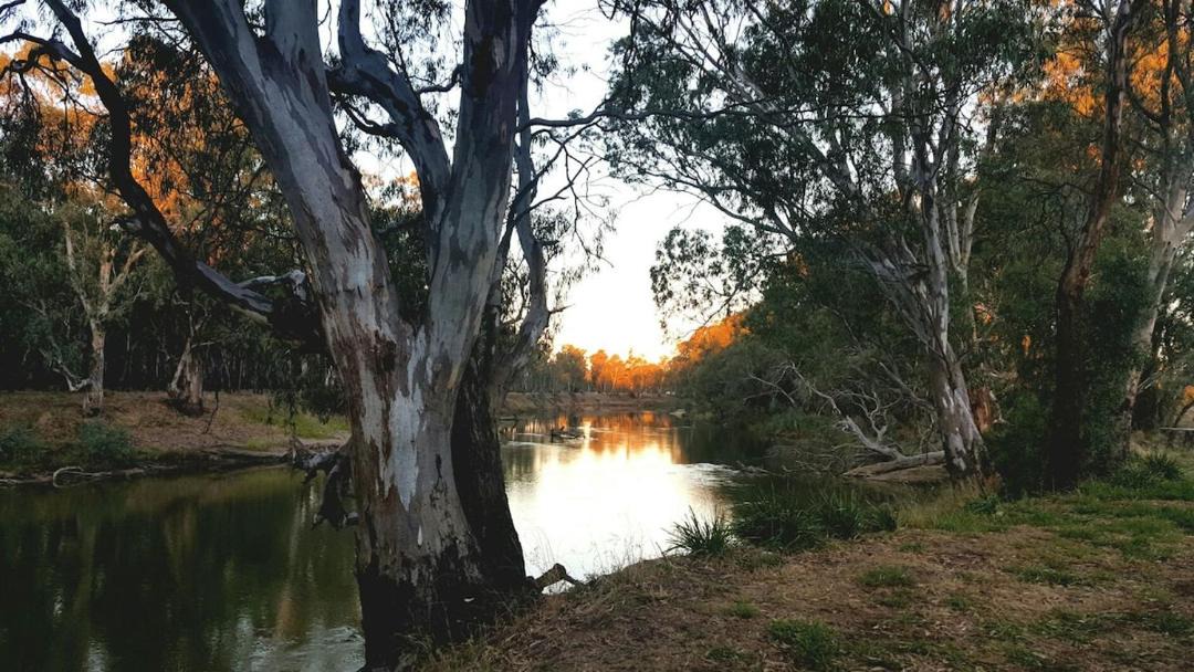 Photo of Others in Darlington Point