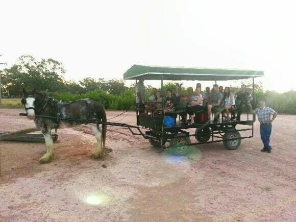 Photo of Others in Darlington Point