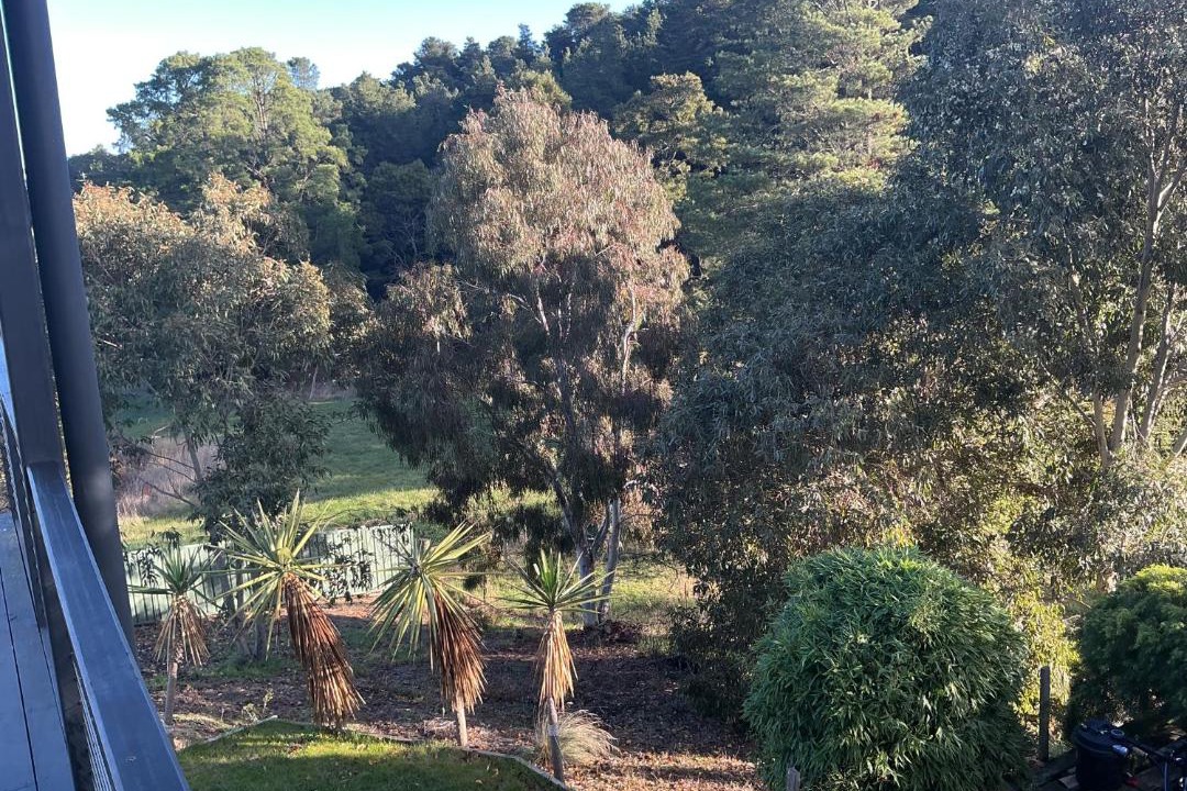 Photo of Others in Black Hill