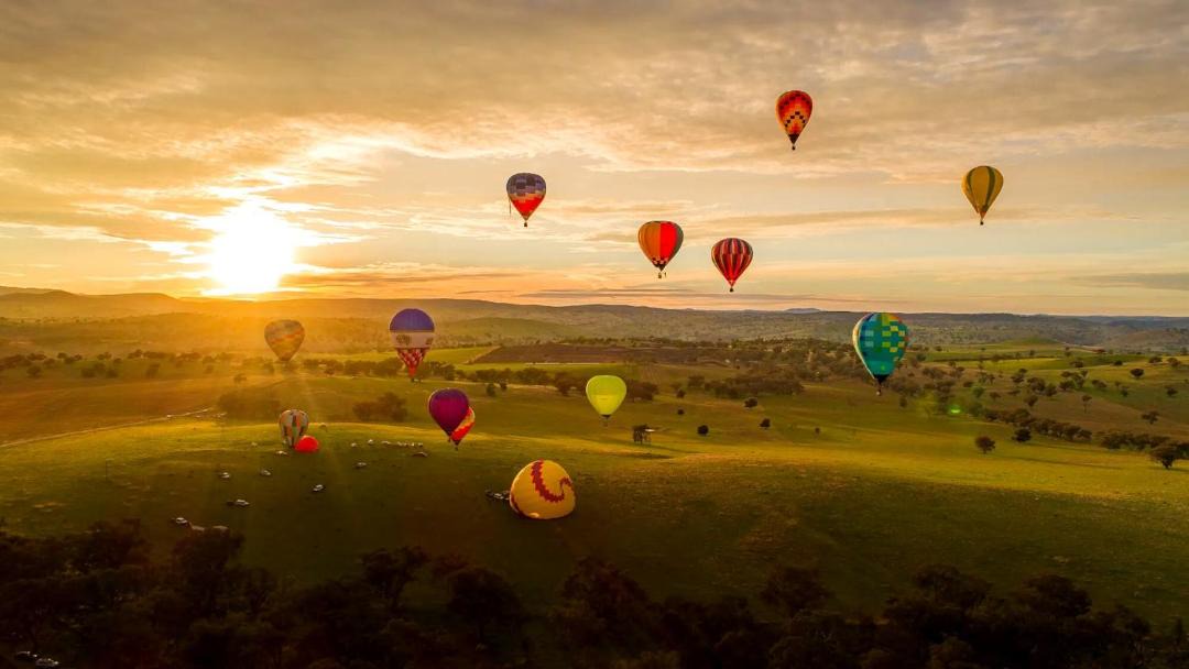 Photo of Others in Canowindra