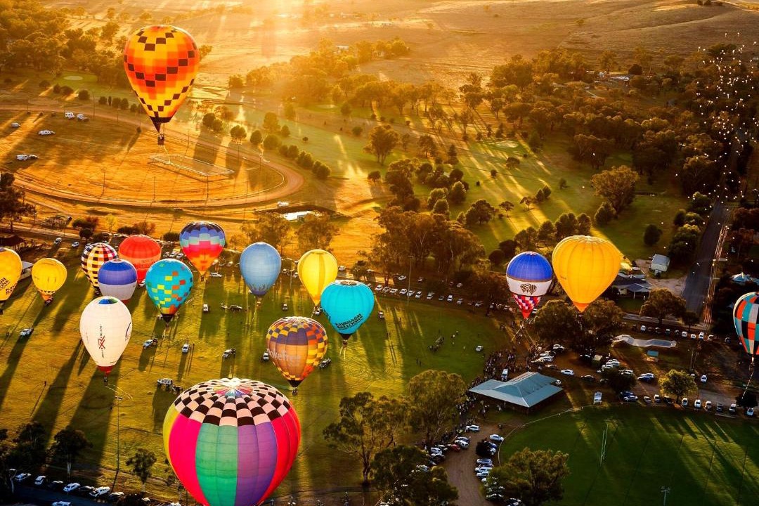 Photo of Others in Canowindra