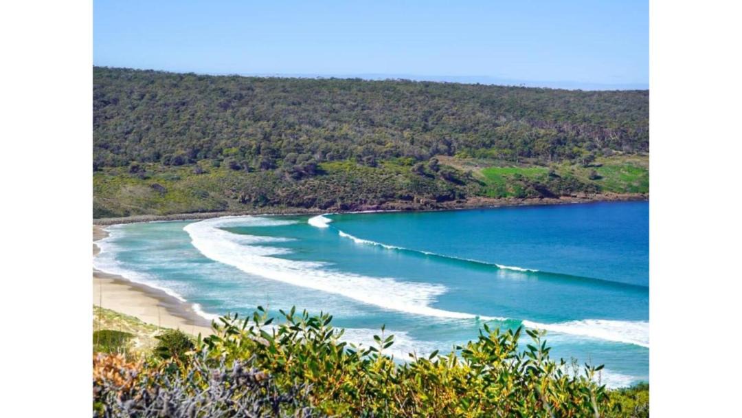 Photo of Others in North Bruny