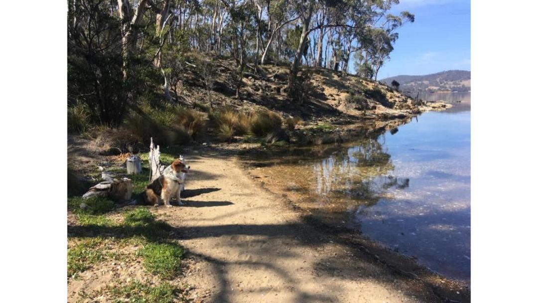 Photo of Others in North Bruny