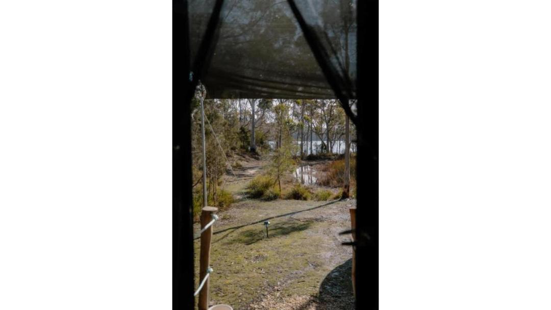Photo of Others in North Bruny