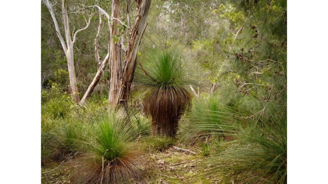 Photo of Others in North Bruny