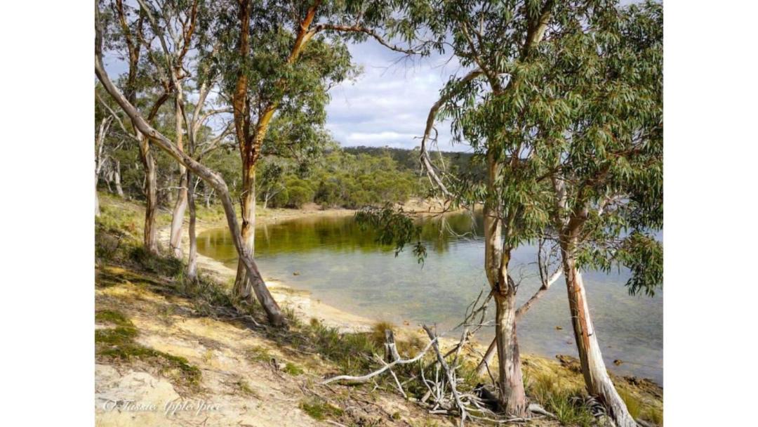 Photo of Others in North Bruny