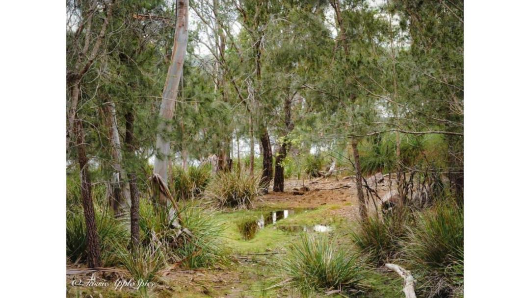 Photo of Others in North Bruny