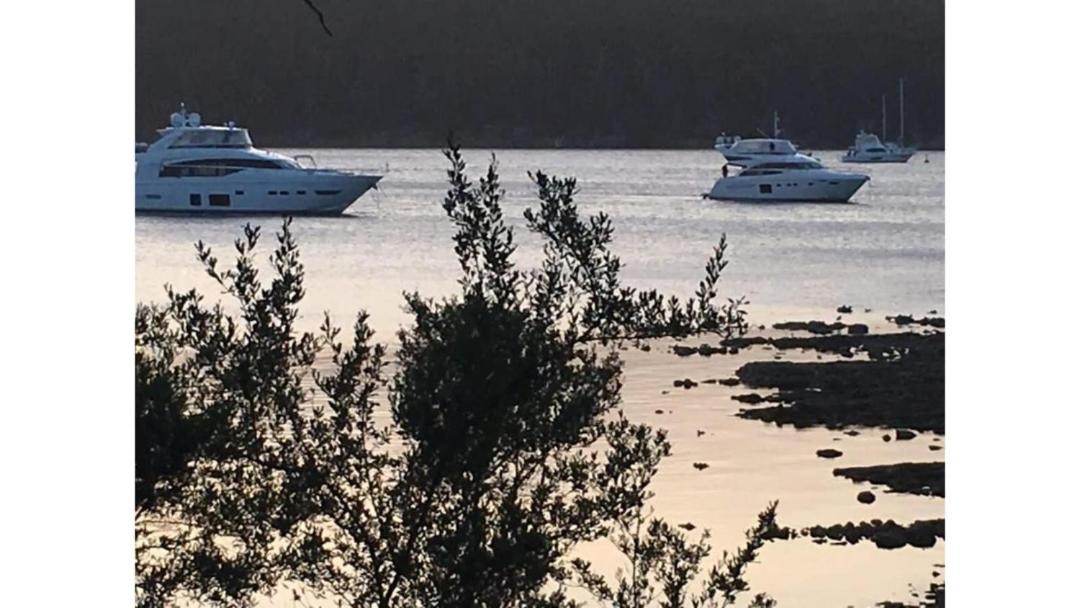 Photo of Others in North Bruny