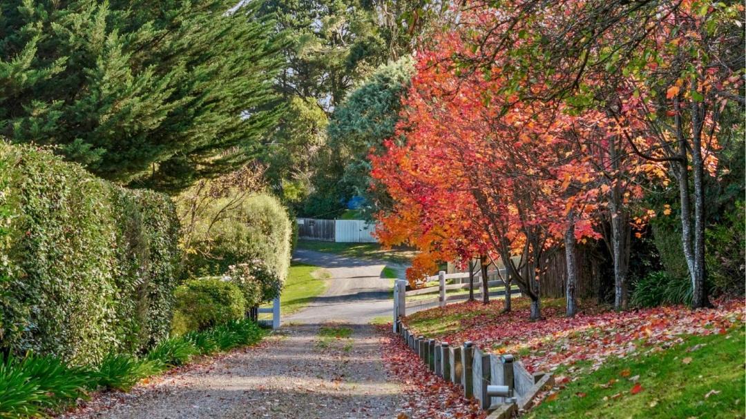 Photo of Others in Daylesford