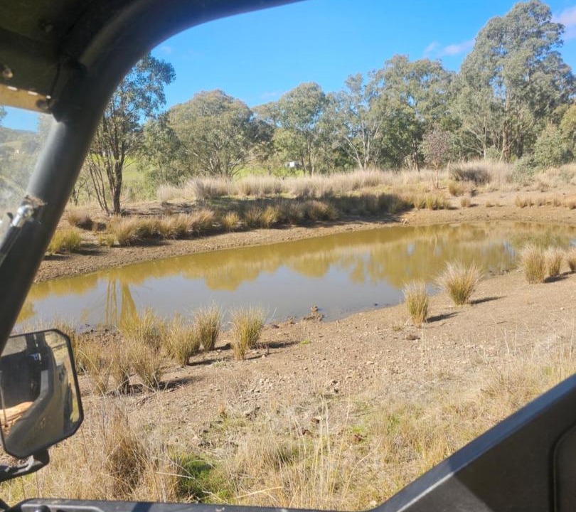 Photo of Others in Halls Creek