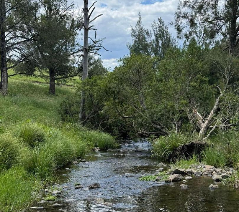 Photo of Others in Bakers Creek