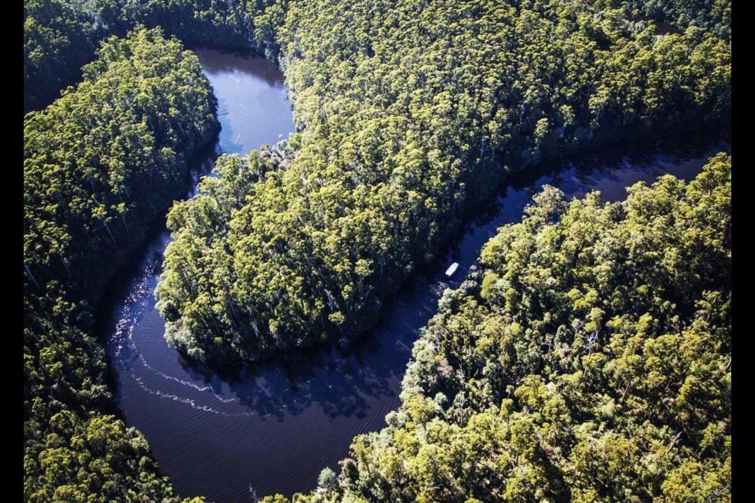 Photo of Others in Arthur River