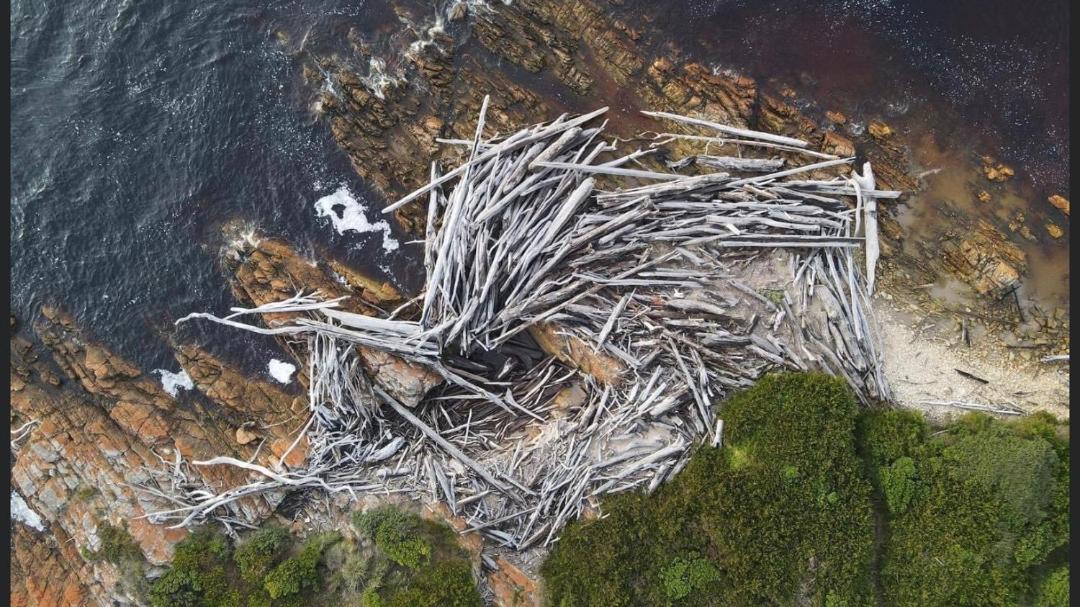Photo of Others in Arthur River