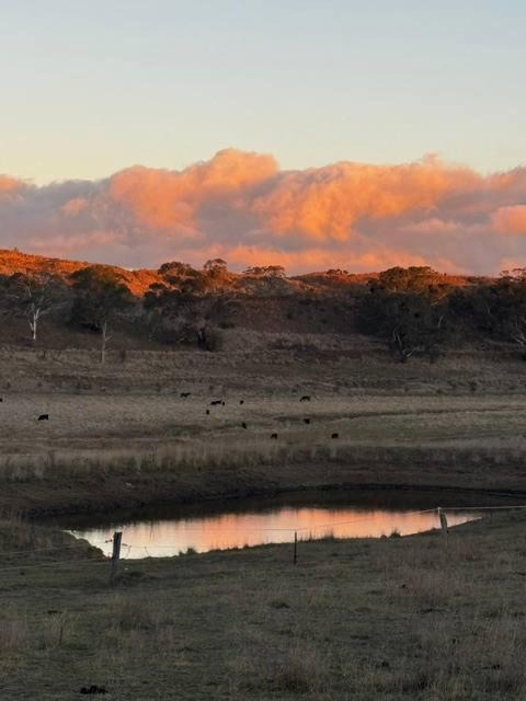 Photo of Others in Central Tablelands