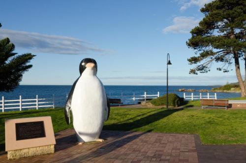 Photo of Others in Penguin