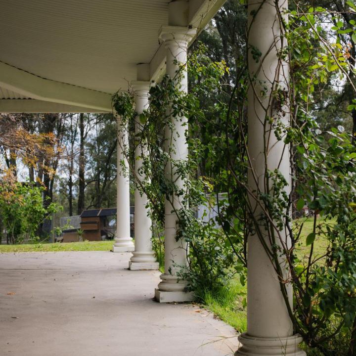 Photo of Others in Lovedale
