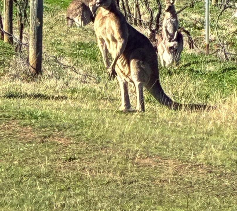 Photo of Others in Lovedale