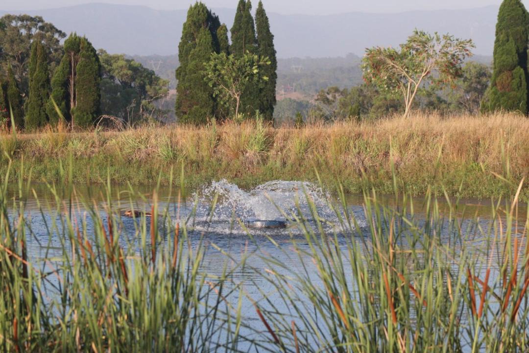 Photo of Others in Lovedale