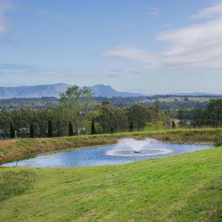 Photo of Others in Lovedale