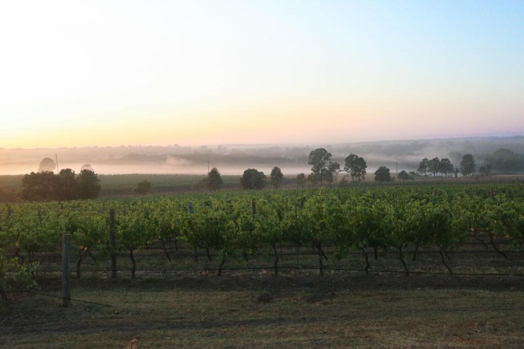 Photo of Others in Lovedale