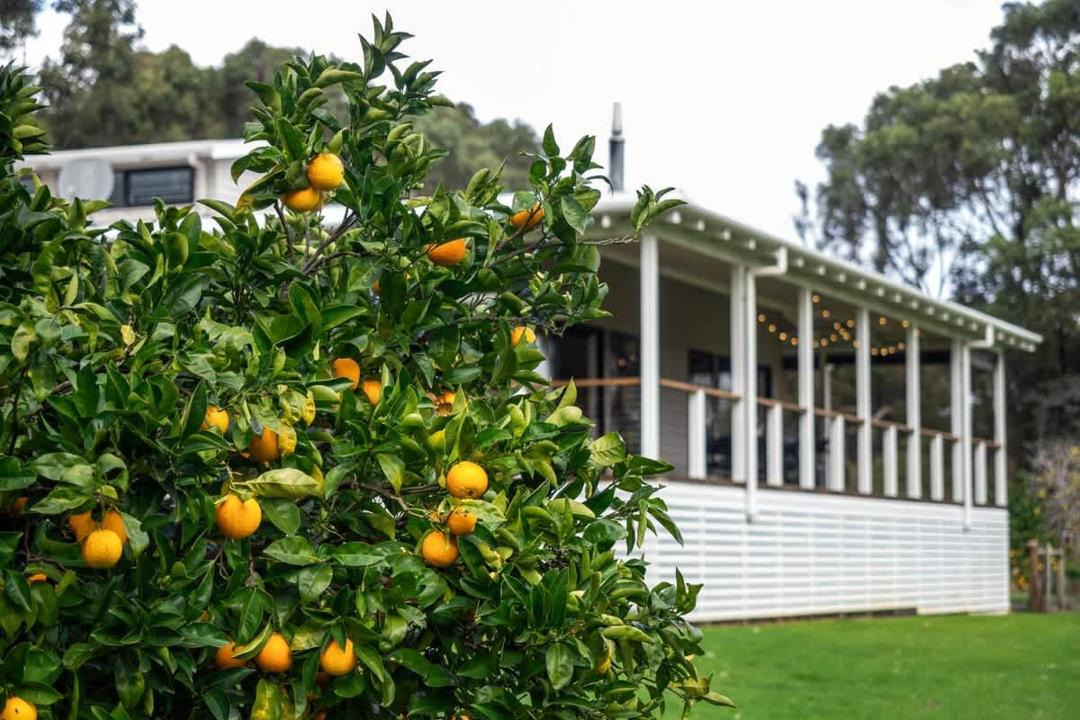Photo of Others in Margaret River