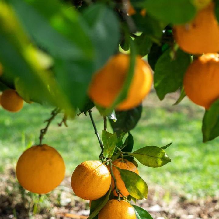 Photo of Others in Margaret River