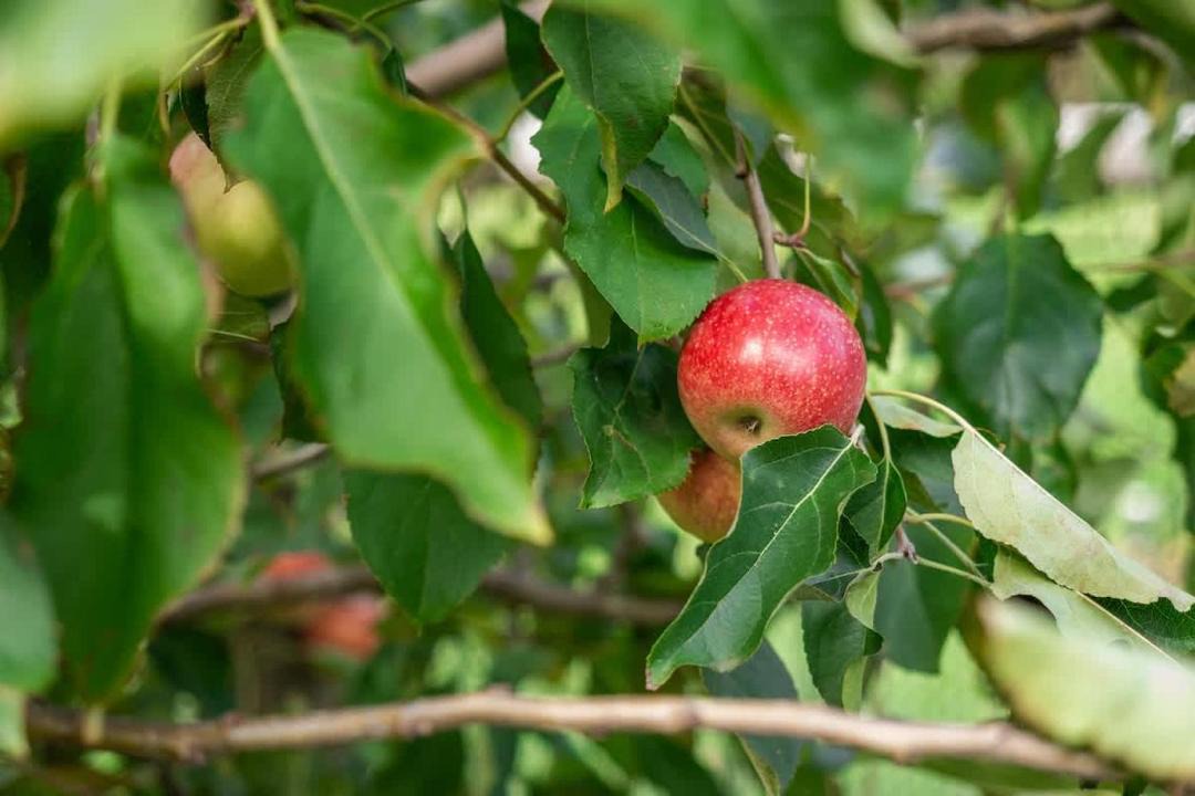 Photo of Others in Margaret River