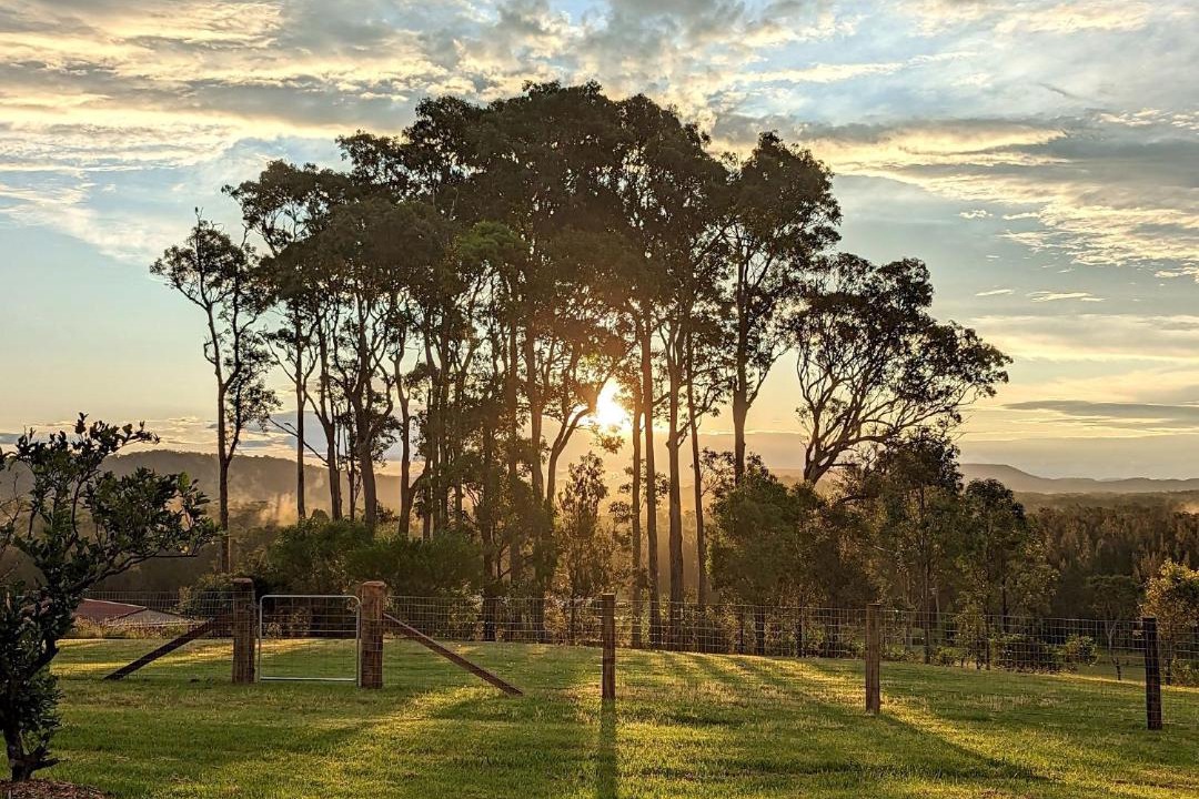 Photo of Others in Coomba Park