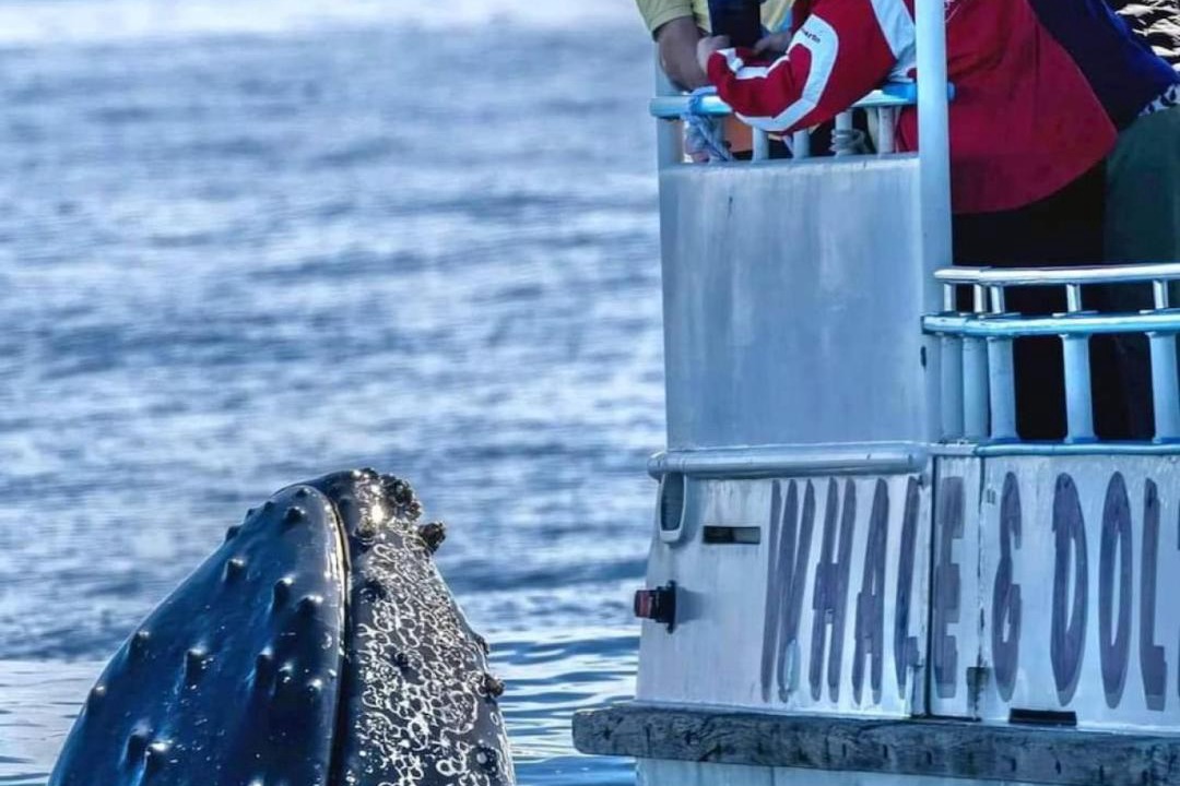 Photo of Others in Anna Bay