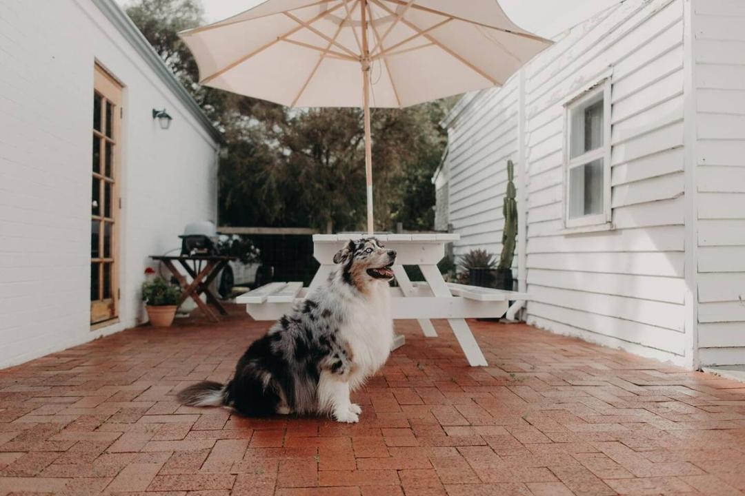 Photo of Others in Middleton Beach